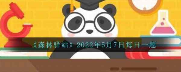 森林驿站2022年5月7日每日一题