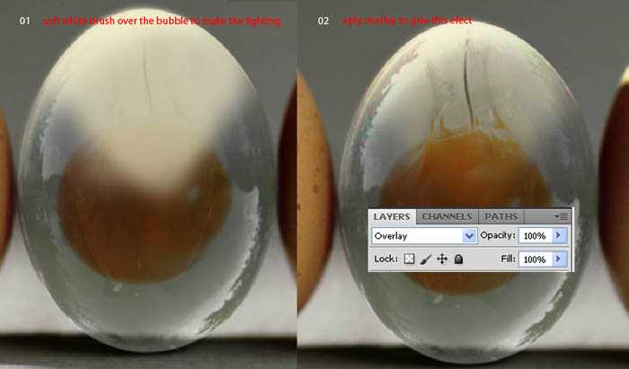 photoshop合成制作出一个半透明的鸡蛋