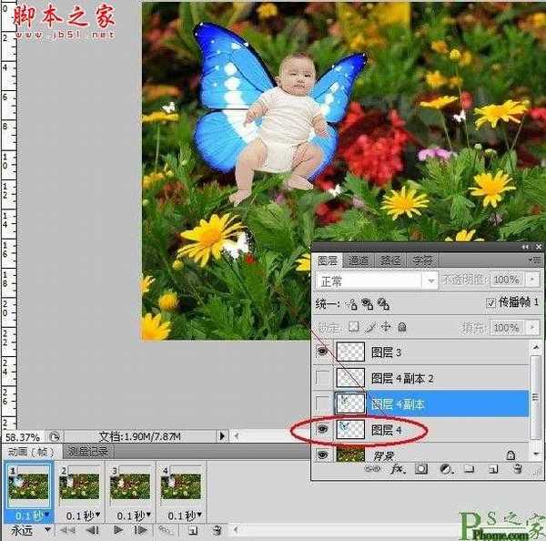 photoshop为宝宝写真照增加动态蝴蝶翅膀特效