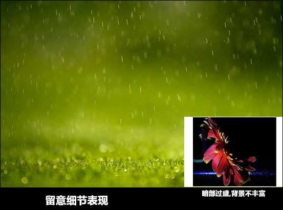 怎样拍出有韵味的雨季照片 拍摄雨季照方法教程