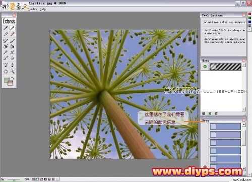 Photoshop抠图教程：插件Mask pro 4.11抠图使用介绍（图文）