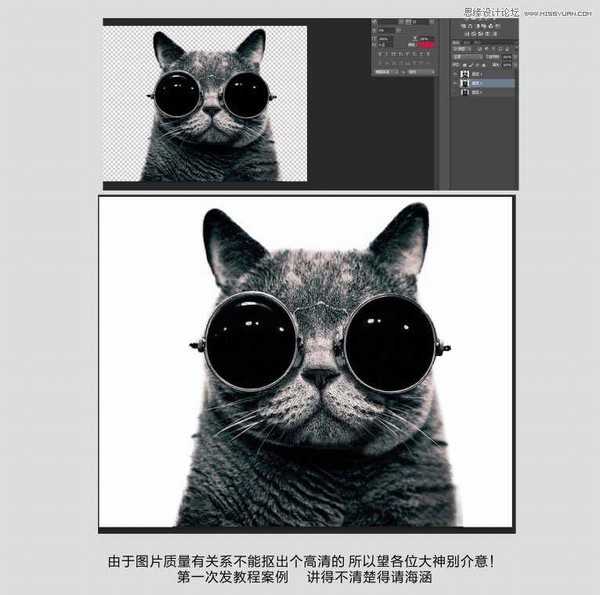 Photoshop使用通道给黑色猫咪抠图