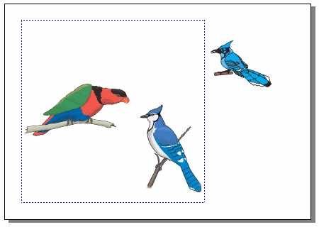 CorelDRAW 选取及填充对象的方法和具体操作步骤