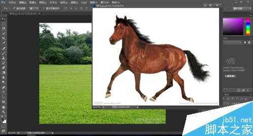 入门:PS简单快速抠出一匹马