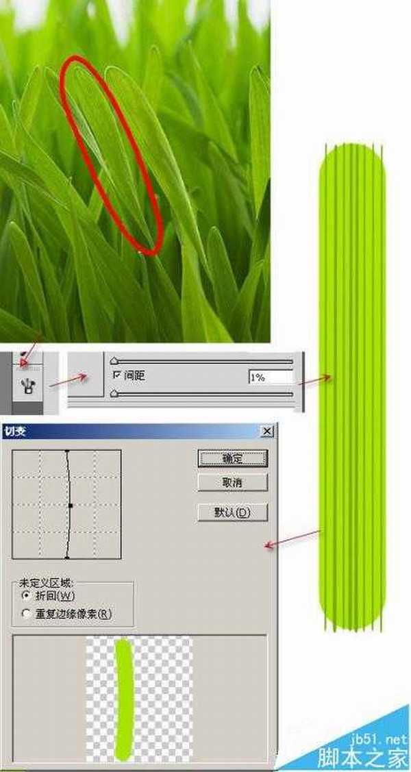 ps怎么使用矢量细节描绘的方法画微距小草?