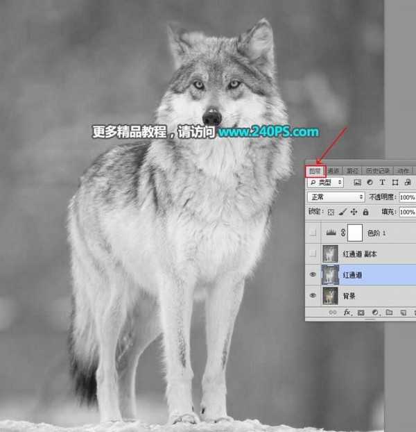 Photoshop巧用通道抠图快速完美抠出毛茸茸的雪中灰狼教程
