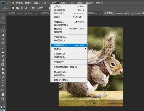 photoshop怎么快速抠动物毛发?PS抠取动物毛发的实用技巧